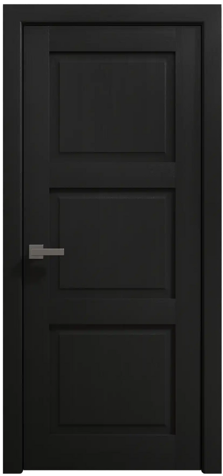 Ego 5010 - EGO Painted Black Oak / 24" x 80" Ego 5010 Door