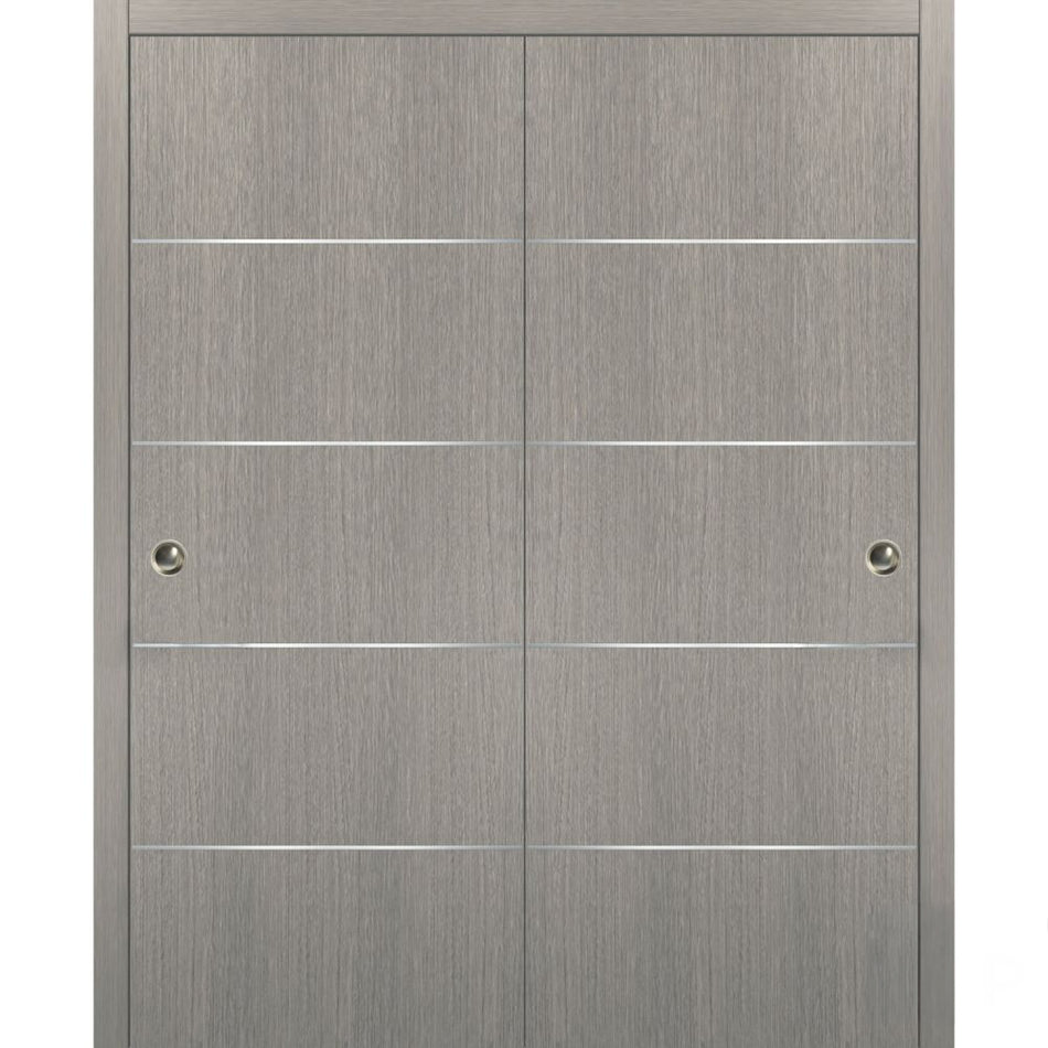 Planum 0020 - Interior Closet Bypass Door