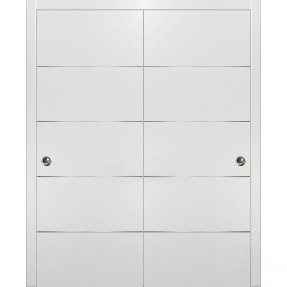 Planum 0020 - Interior Closet Bypass Door