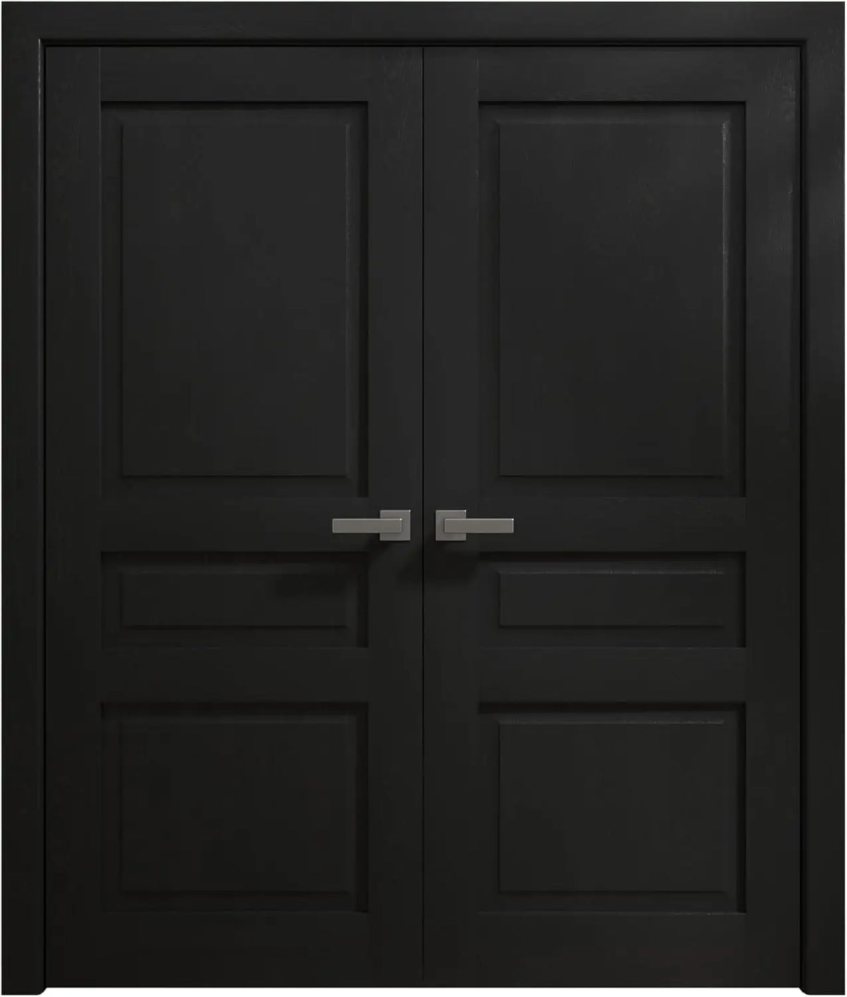 Ego 5012 - EGO Painted Black Oak / (2) 24" x 80" Ego 5012 Door