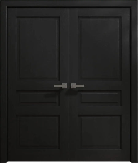 Ego 5012 - EGO Painted Black Oak / (2) 24" x 80" Ego 5012 Door