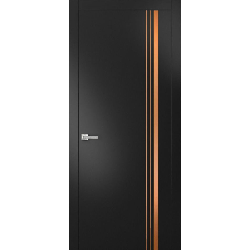 Planum 1010 - Interior Swing Door