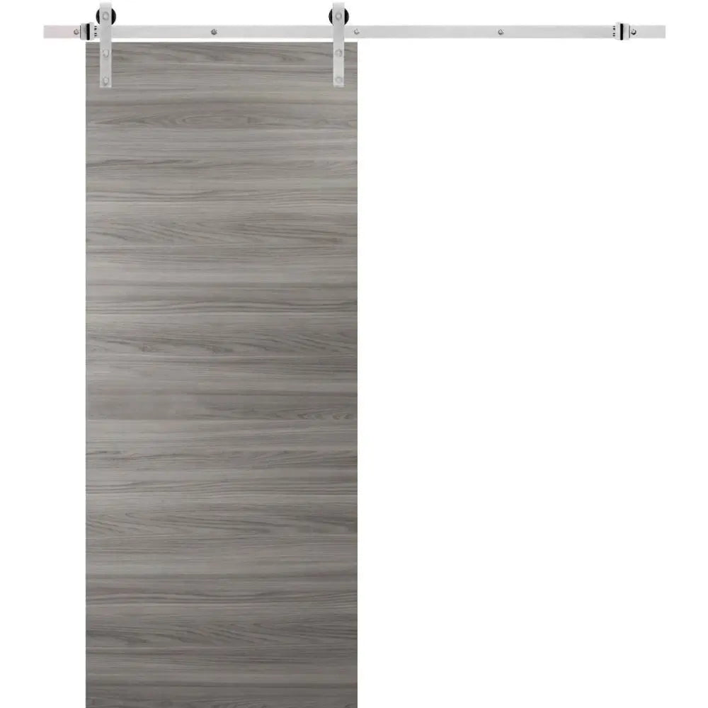 Planum 0010 - Ginger Ash / 32" x 80" Planum 0010 Door