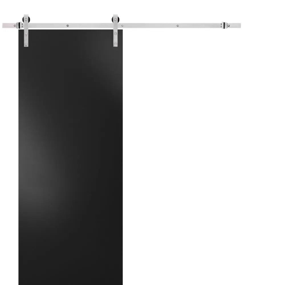 Planum 0010 - Matte Black / 32" x 80" Planum 0010 Door