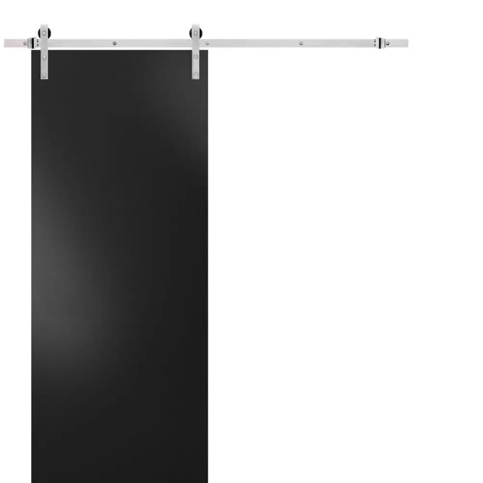 Planum 0010 - Matte Black / 32" x 80" Planum 0010 Door