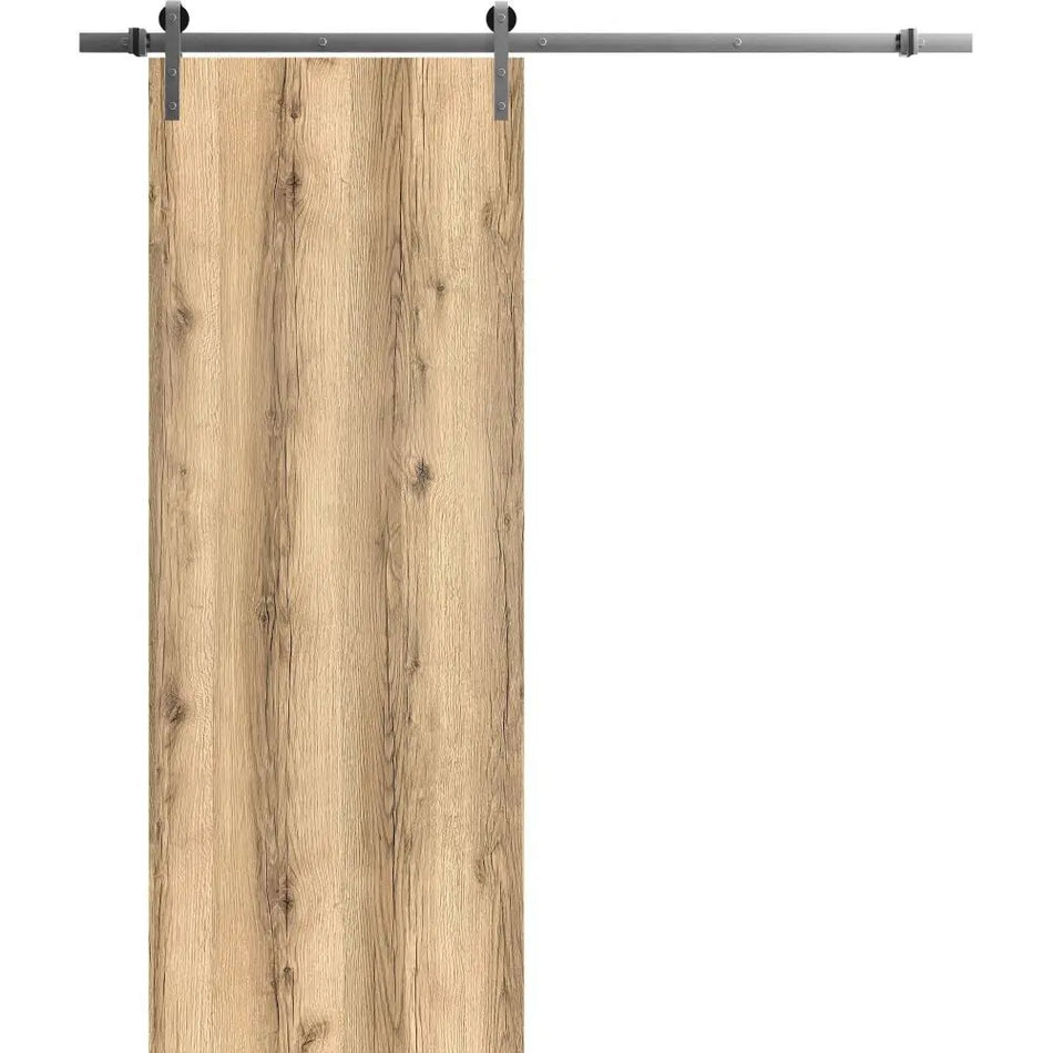 Planum 0010 - Oak / 32" x 80" Planum 0010 Door