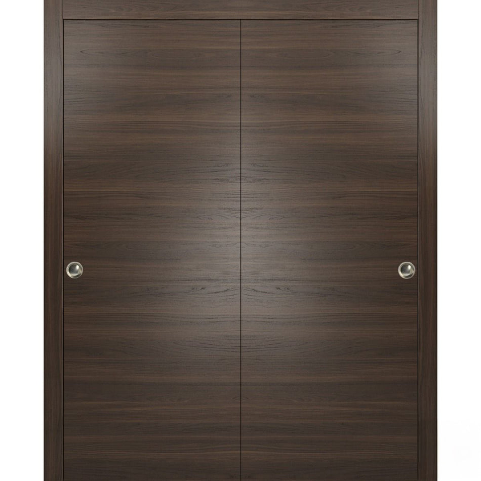 Planum 0010 - Interior Closet Bypass Door