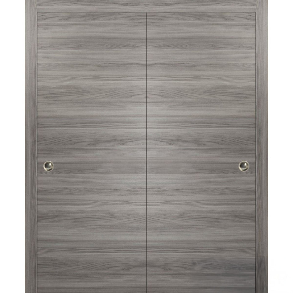 Planum 0010 - Interior Closet Bypass Door