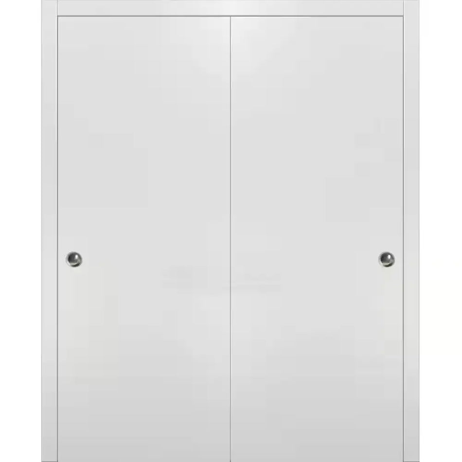 Planum 0010 - Interior Closet Bypass Door