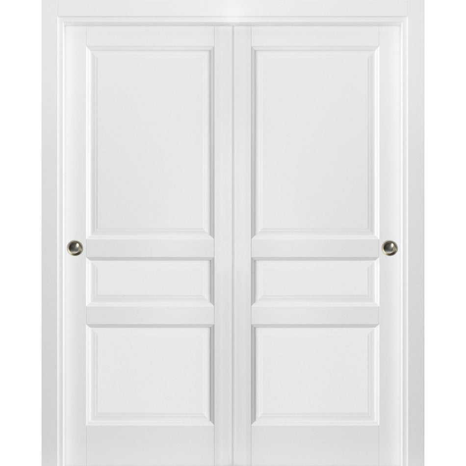 Lucia 0031 - Interior Closet Bypass Door