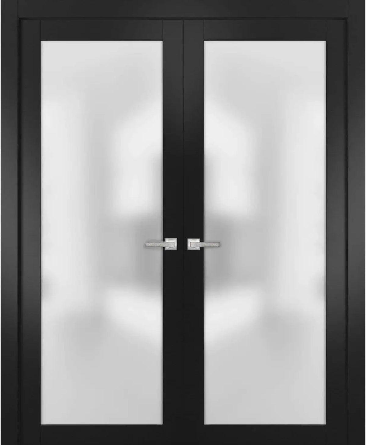 Planum 2102 - Matte Black / (2) 28" x 80" Planum 2102 Door