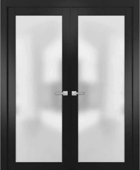 Planum 2102 - Matte Black / (2) 28" x 80" Planum 2102 Door