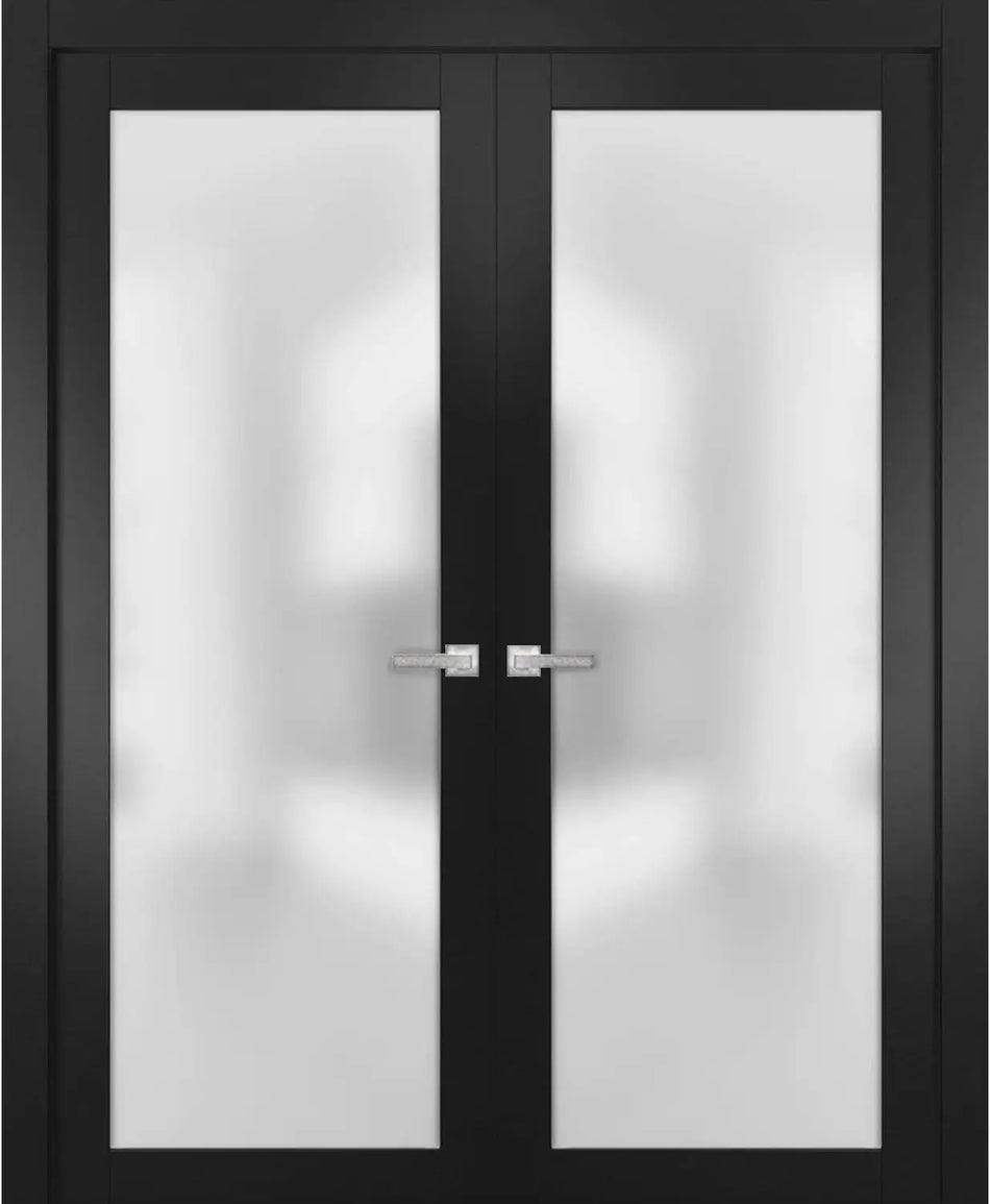 Planum 2102 - Matte Black / (2) 28" x 80" Planum 2102 Door